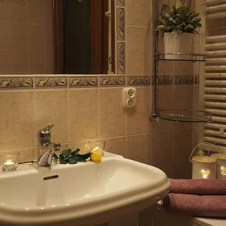 Grand Tourist Apartament Delfin Daire